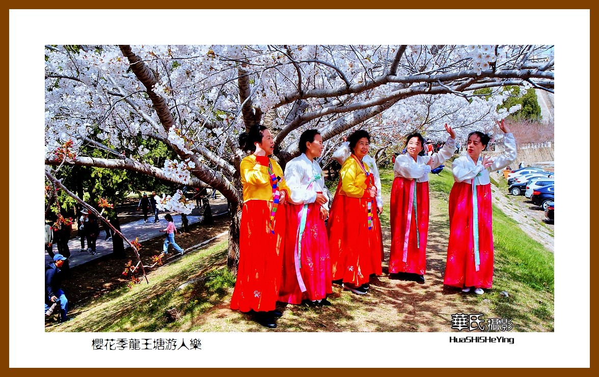 美色辽宁—樱花季龙王塘游人乐（大连市旅顺口）