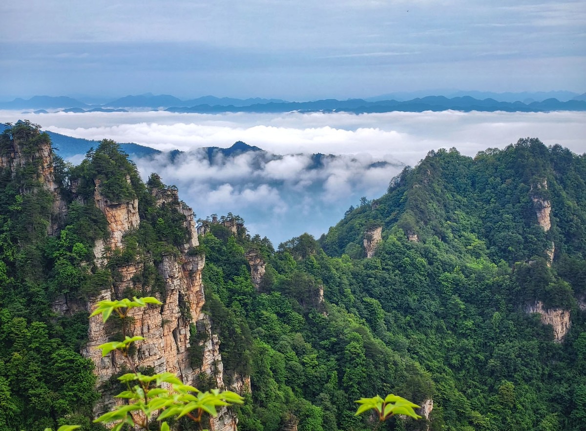 张家界     云雾武陵源（4）