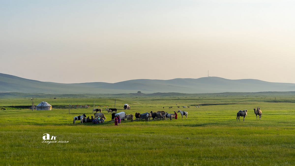 牧人迁徙（10）