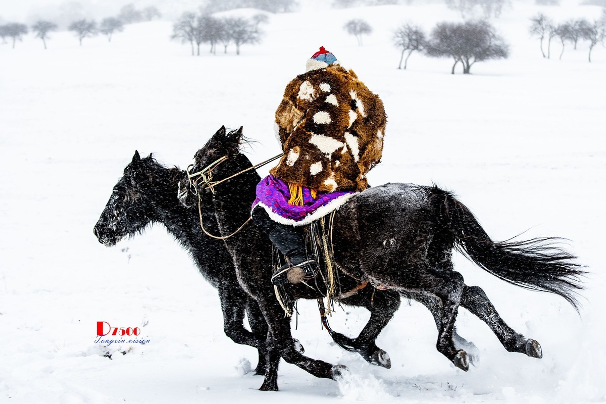 强健&靓丽的牧马人（76）