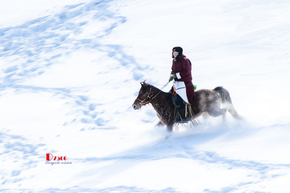 强健&靓丽的牧马人（76）