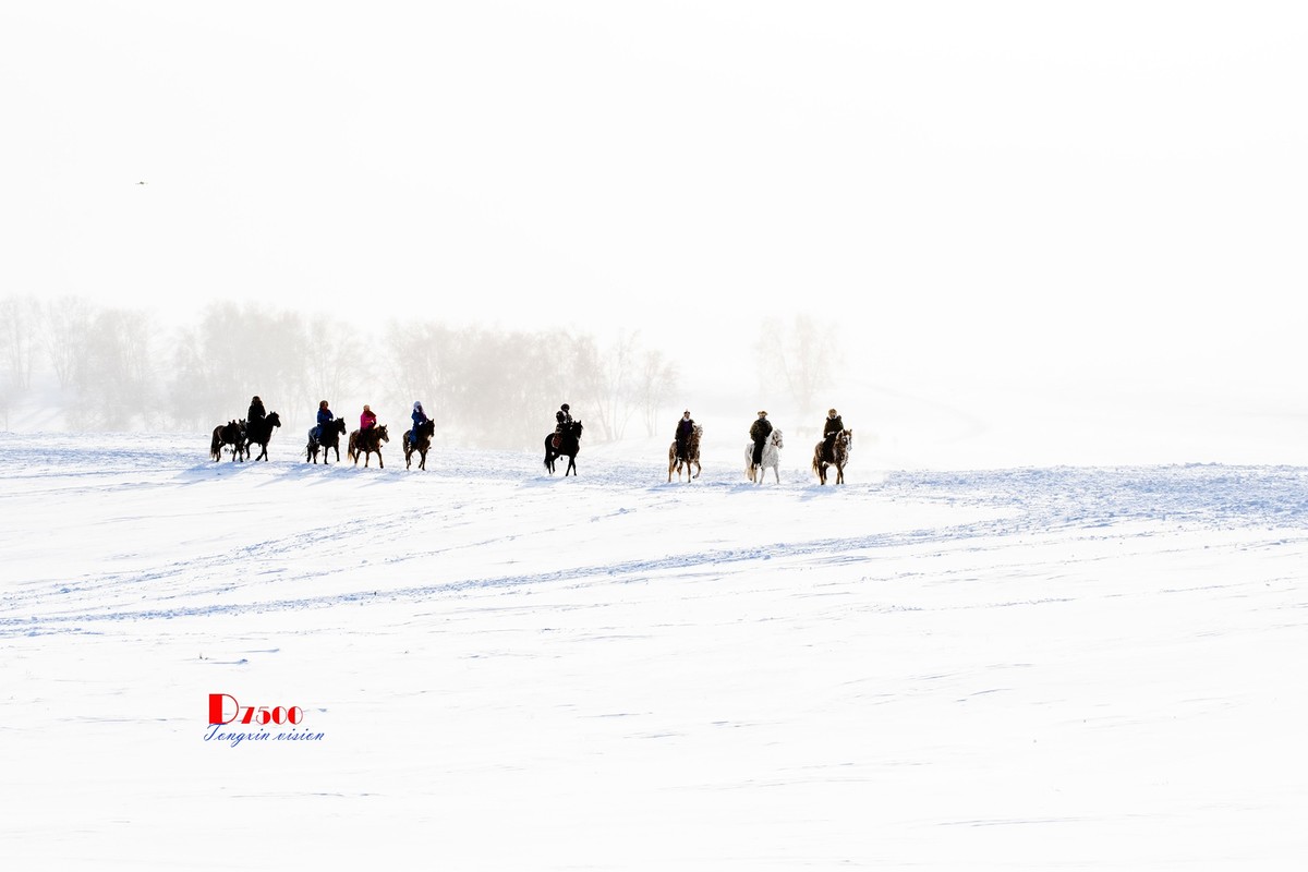 强健&靓丽的牧马人（76）