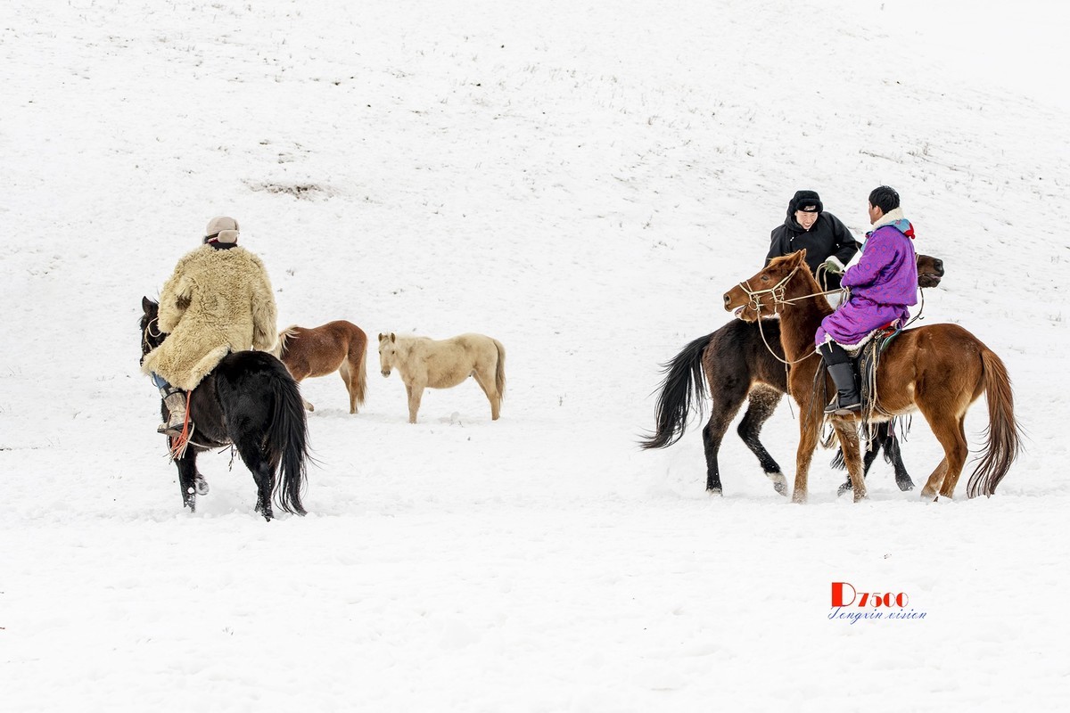 强健&靓丽的牧马人（76）