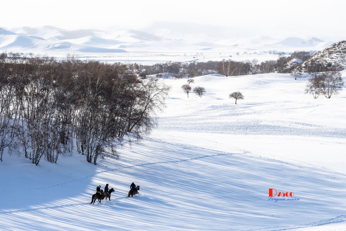 强健&靓丽的牧马人（76）