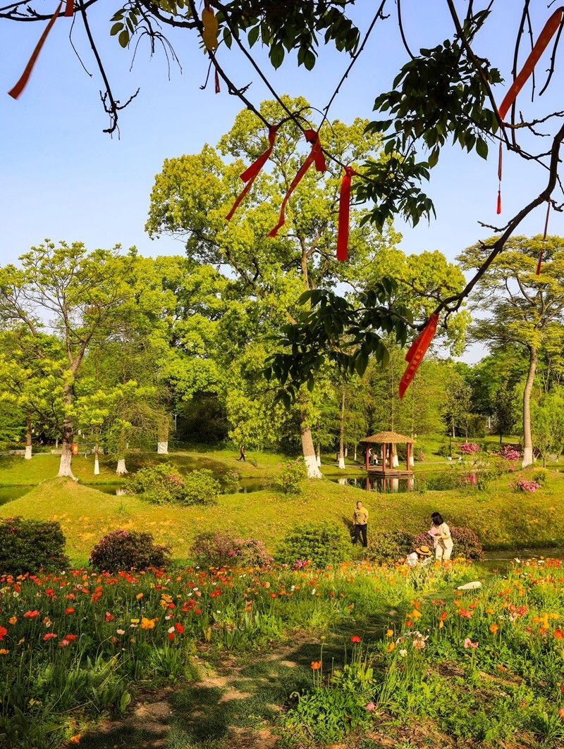 长沙生态植物园4
