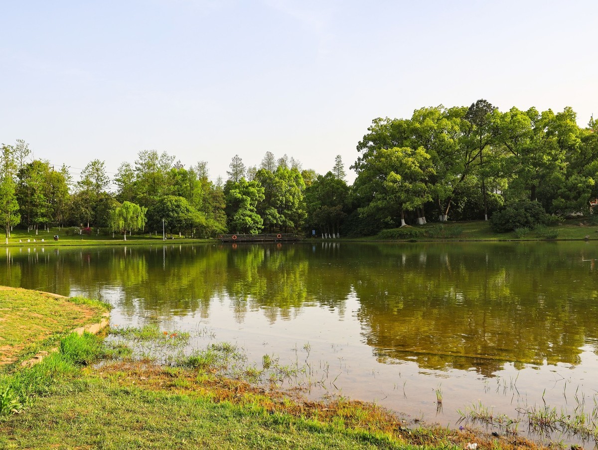 长沙生态植物园4