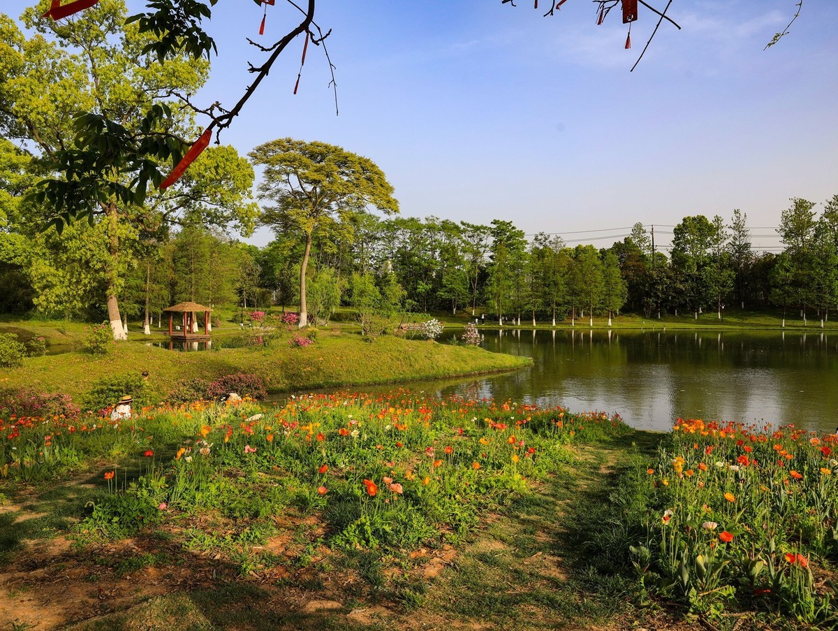 长沙生态植物园4