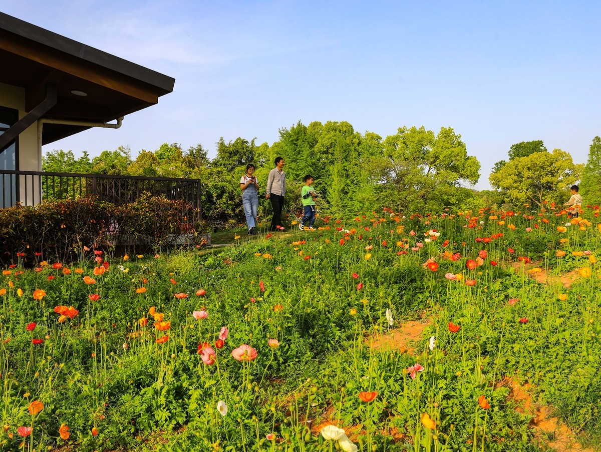 长沙生态植物园4