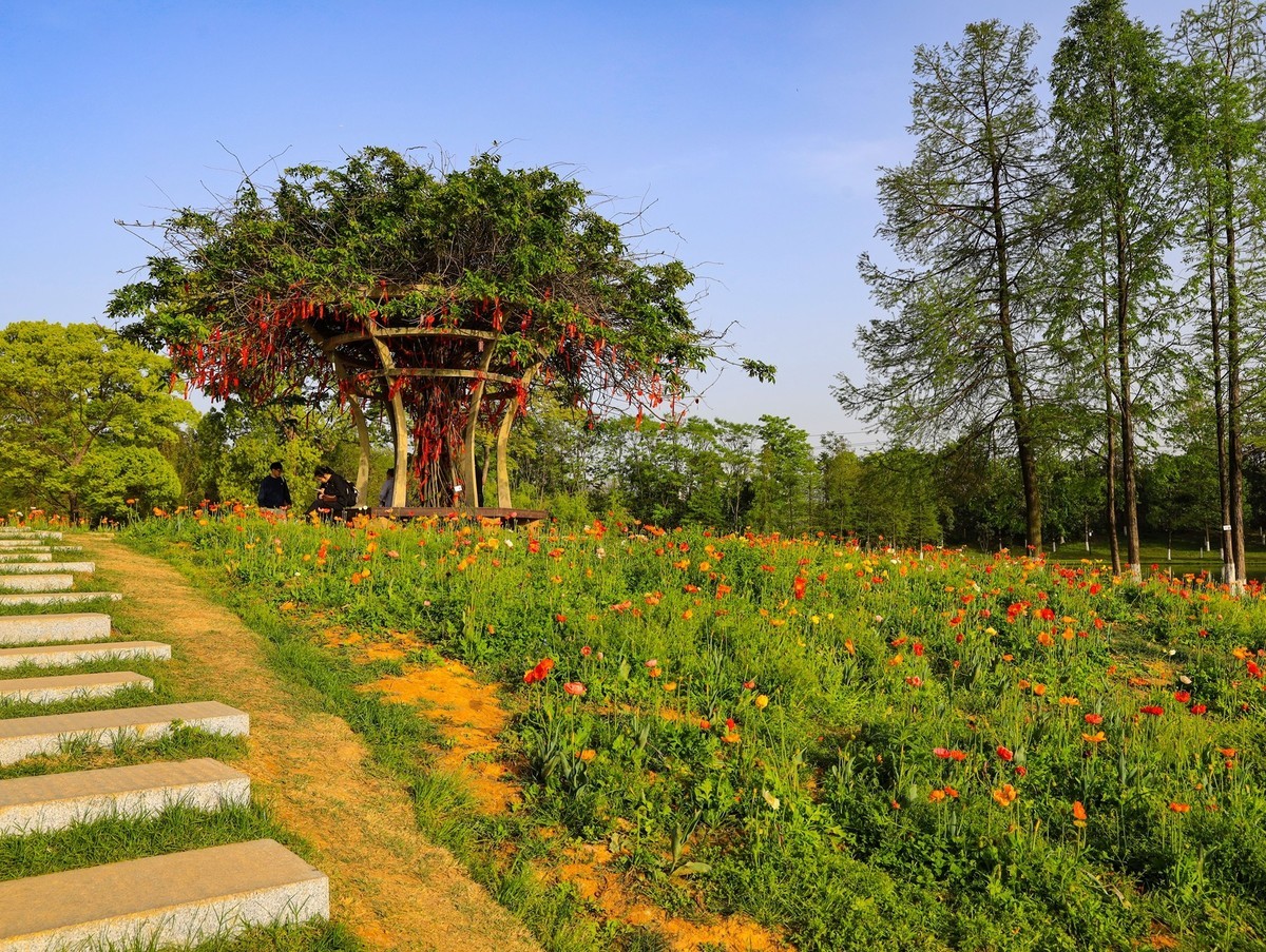 长沙生态植物园4
