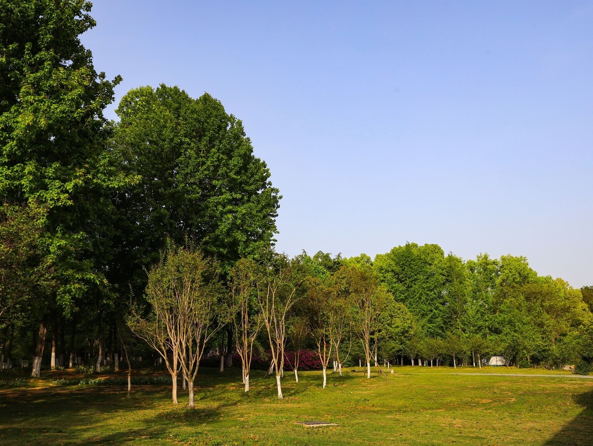 长沙生态植物园4