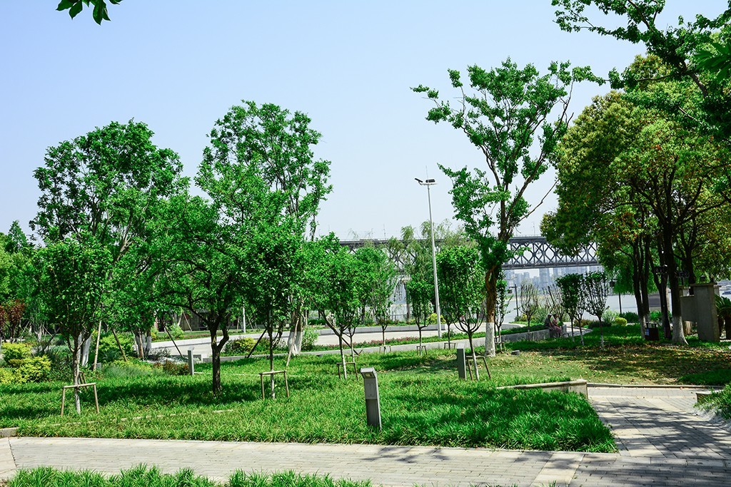 拍拍花草，看看CMOS的清洁效果