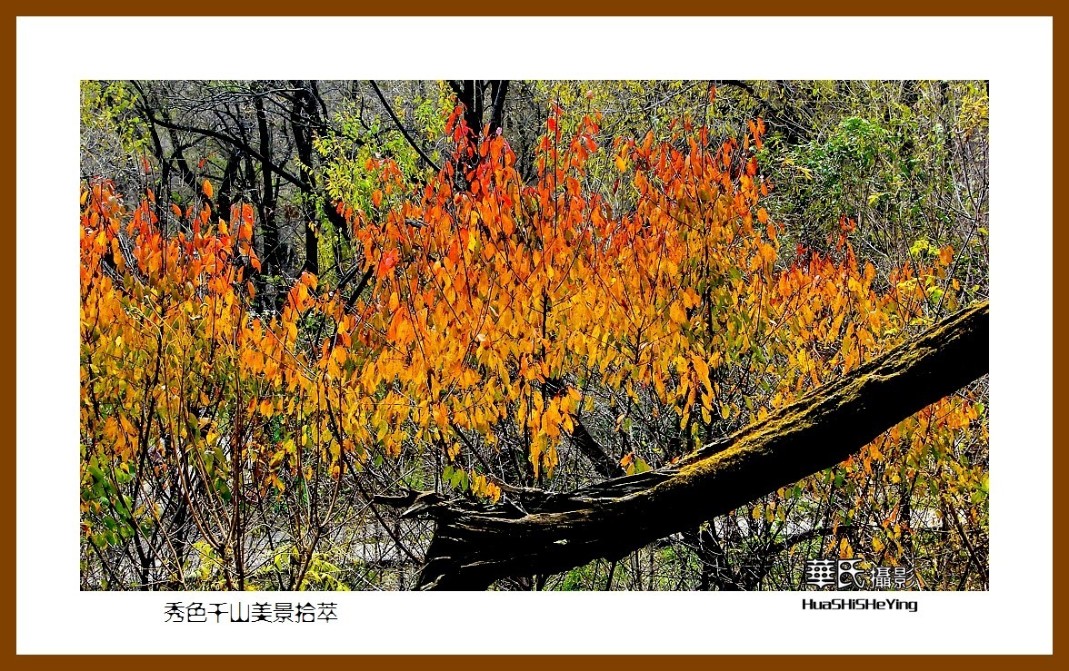 我爱家乡——秀色千山美景拾萃（辽宁鞍山千山无量观）