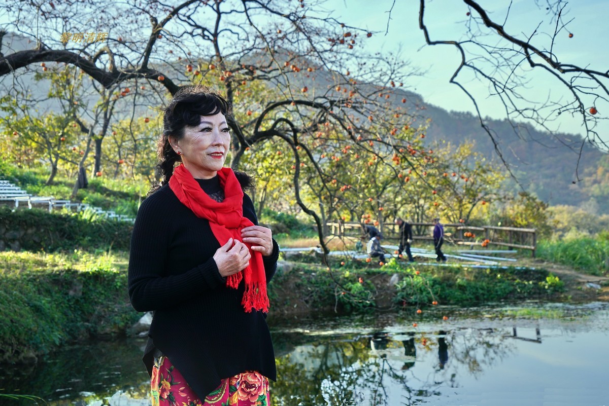 罗田柿子红了—4-中关村在线摄影论坛