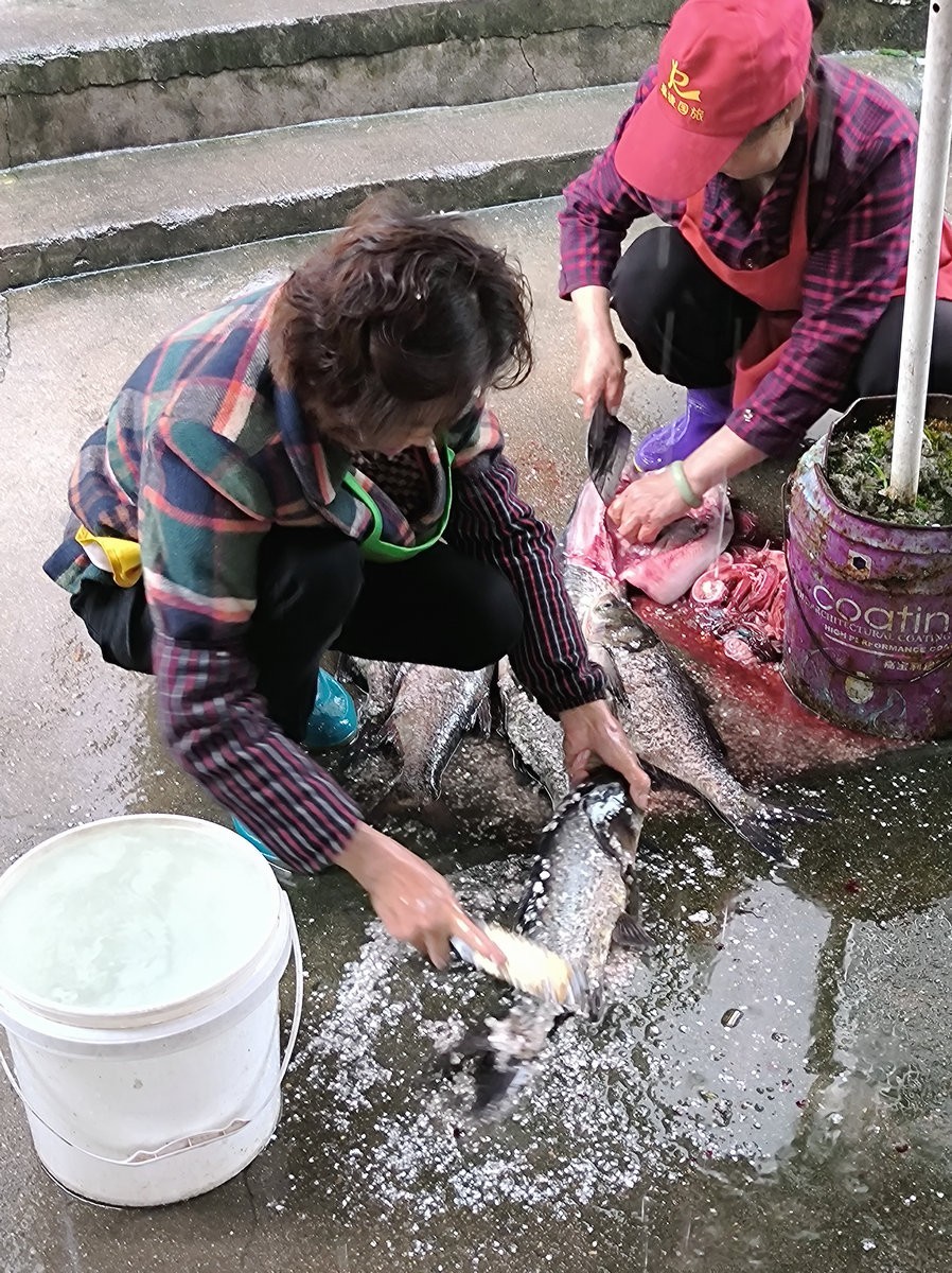 2024 五月周边行（12）咸安区刘家桥