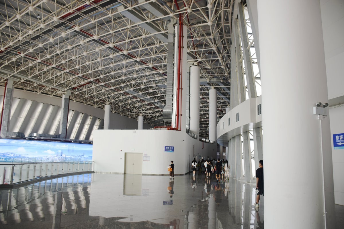 2024夏 海南环岛行（173）雷州白斩狗