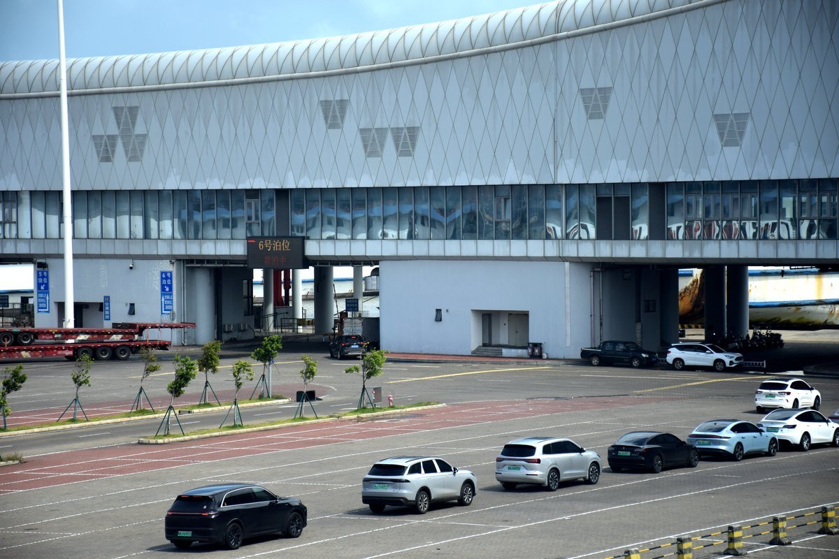 2024夏 海南环岛行（173）雷州白斩狗