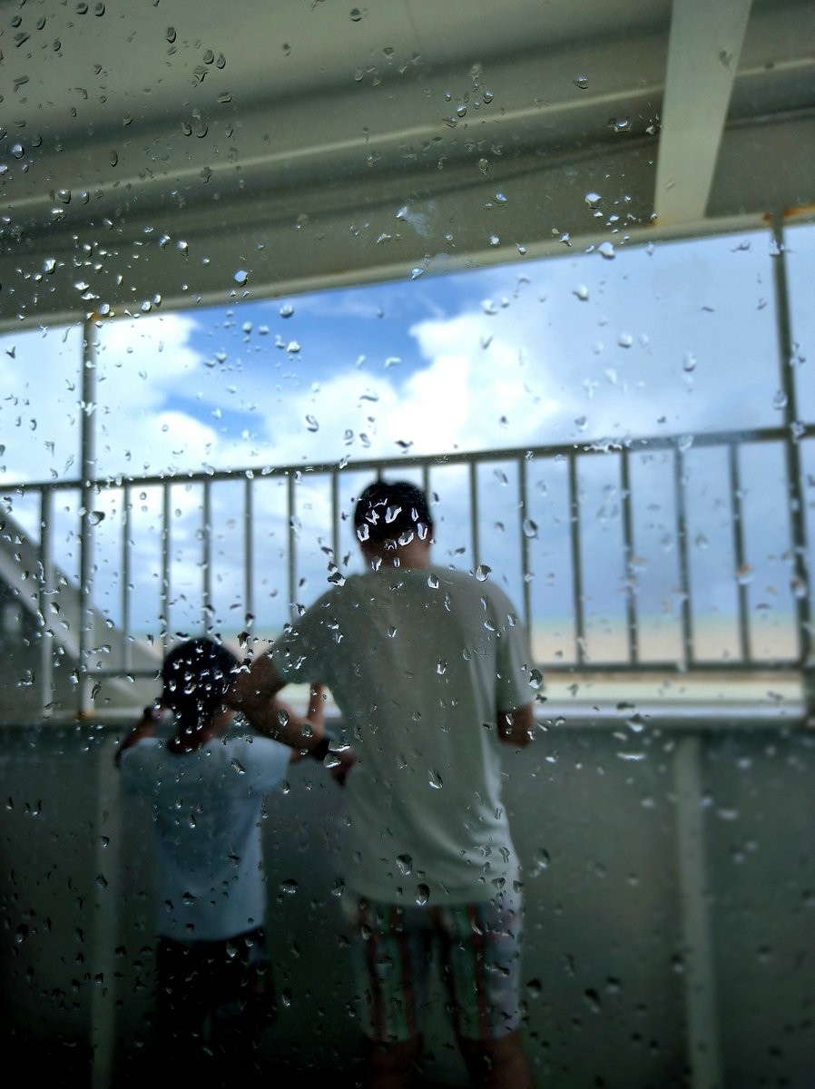 2024夏 海南环岛行（173）雷州白斩狗