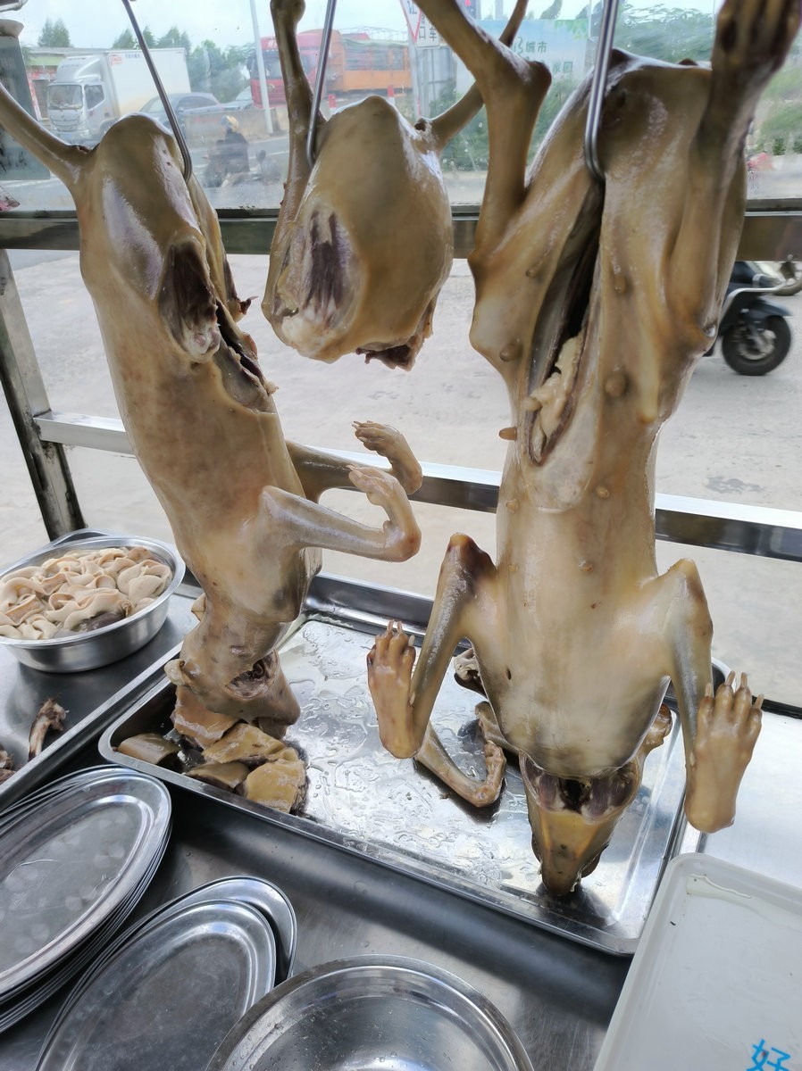 2024夏 海南环岛行（173）雷州白斩狗