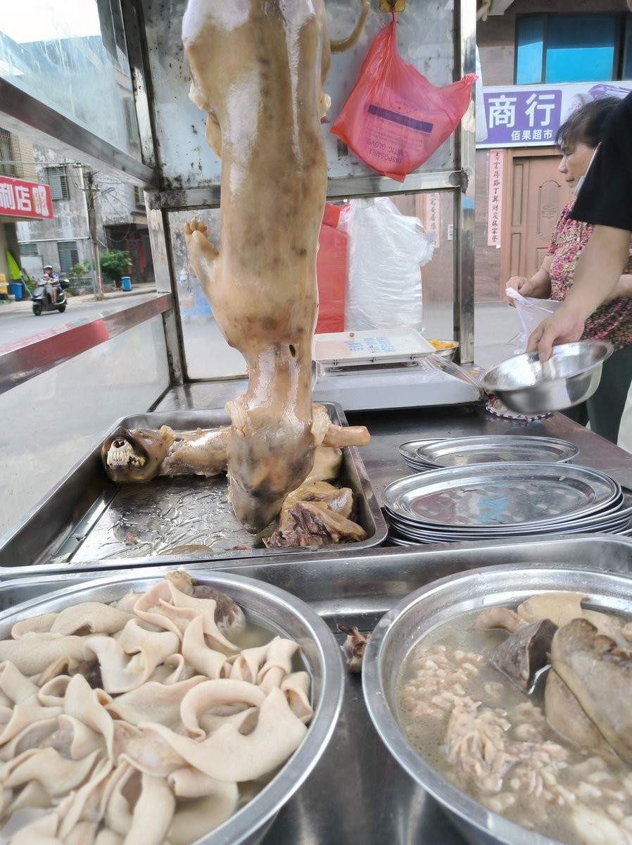 2024夏 海南环岛行（173）雷州白斩狗