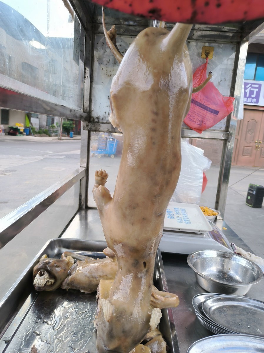 2024夏 海南环岛行（173）雷州白斩狗