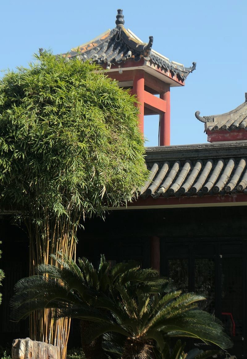 中华奇石馆---恭贺黄河两岸出任版主