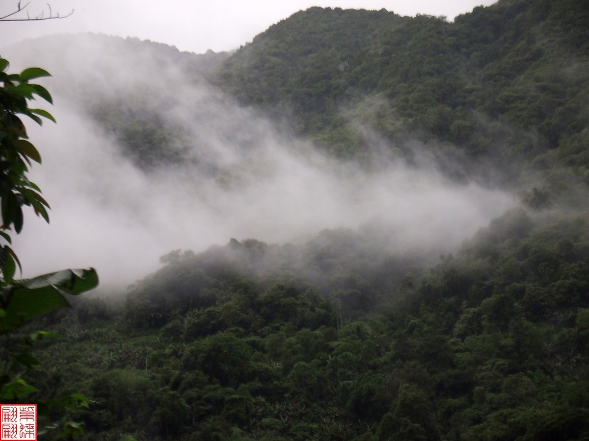 2024.6.27墨脱路拍（15）