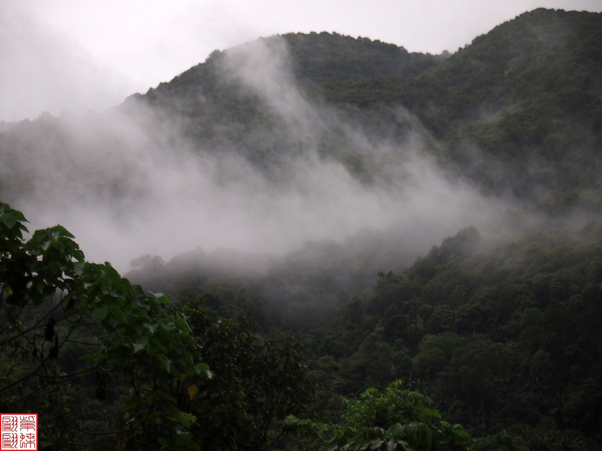 2024.6.27墨脱路拍（15）