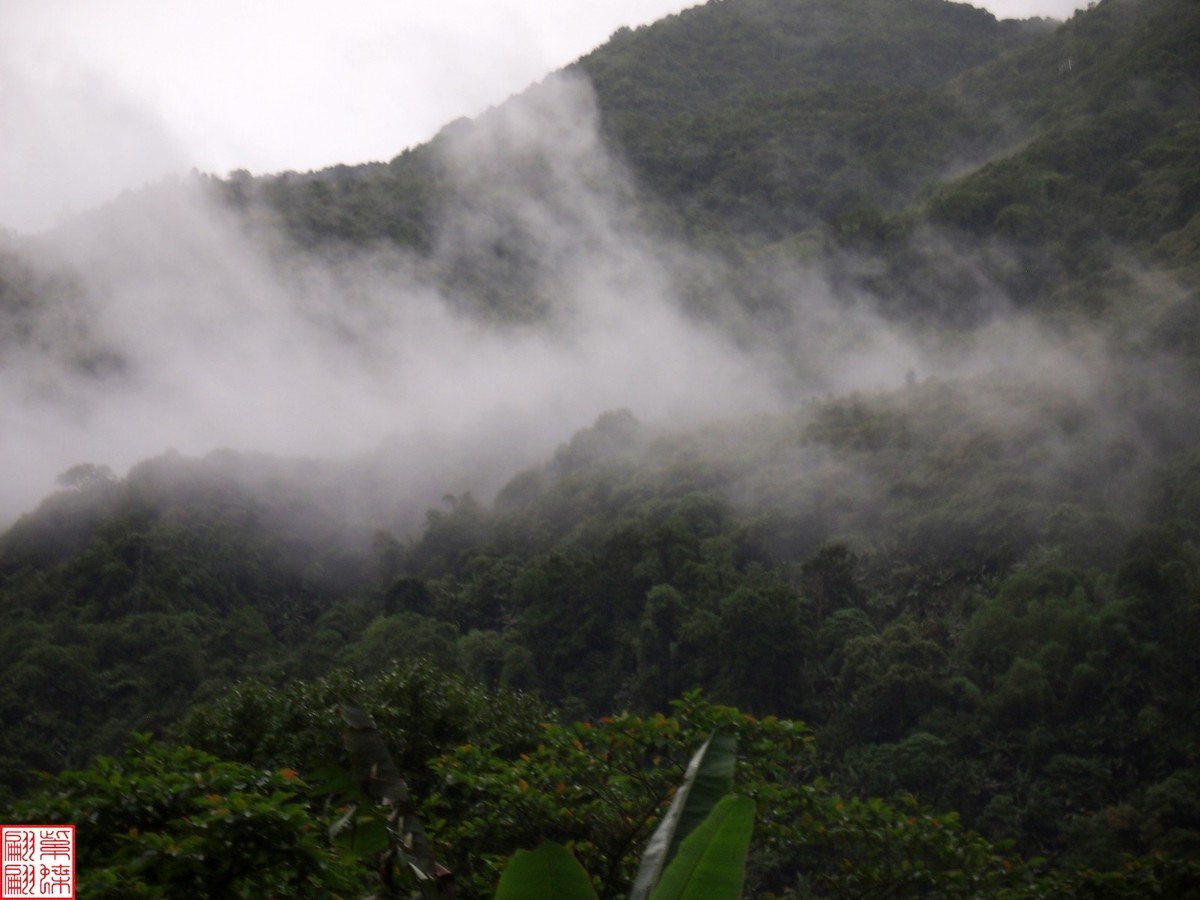 2024.6.27墨脱路拍（15）