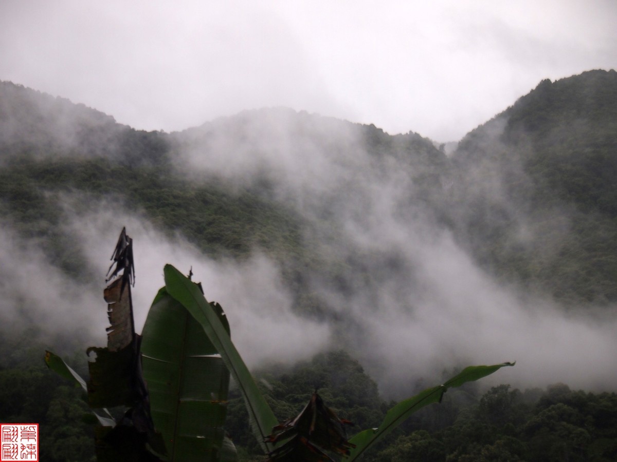 2024.6.27墨脱路拍（15）