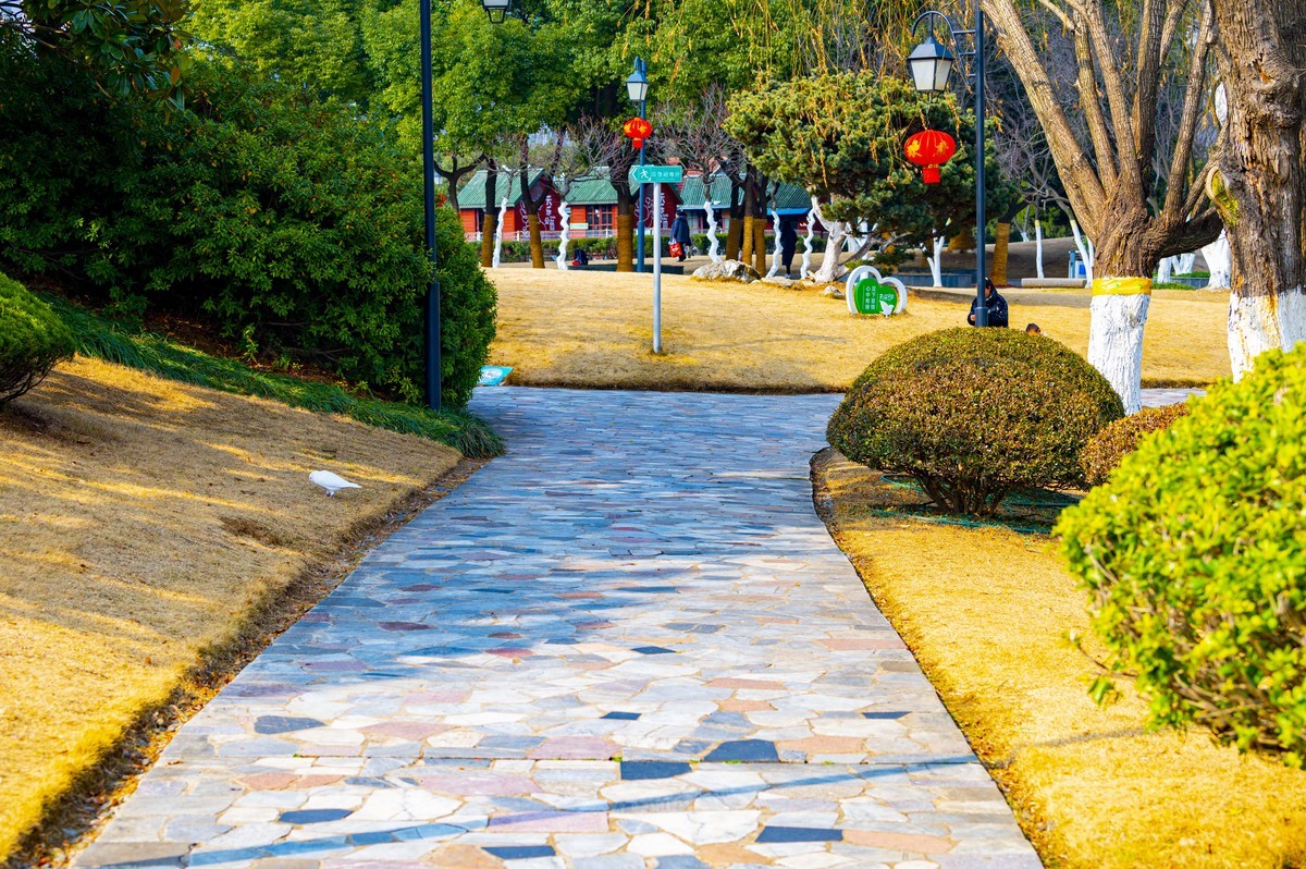 庐州印记（210）天乐公园