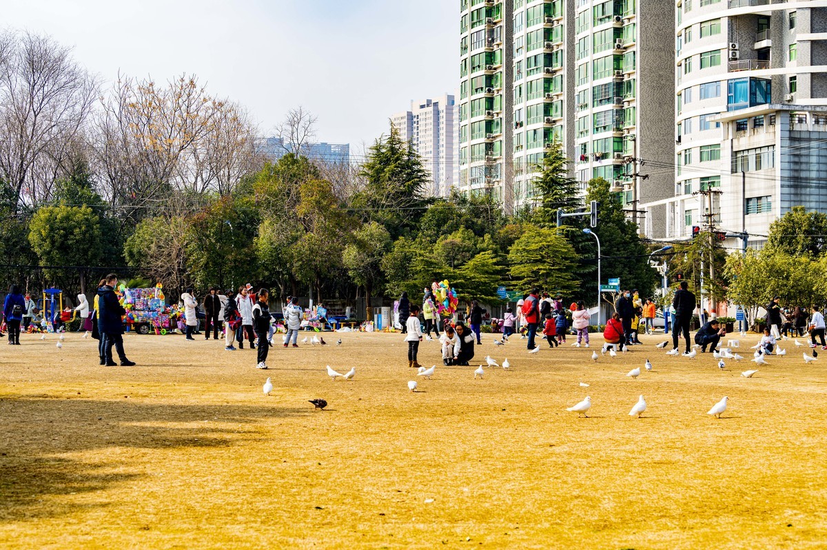 庐州印记（210）天乐公园