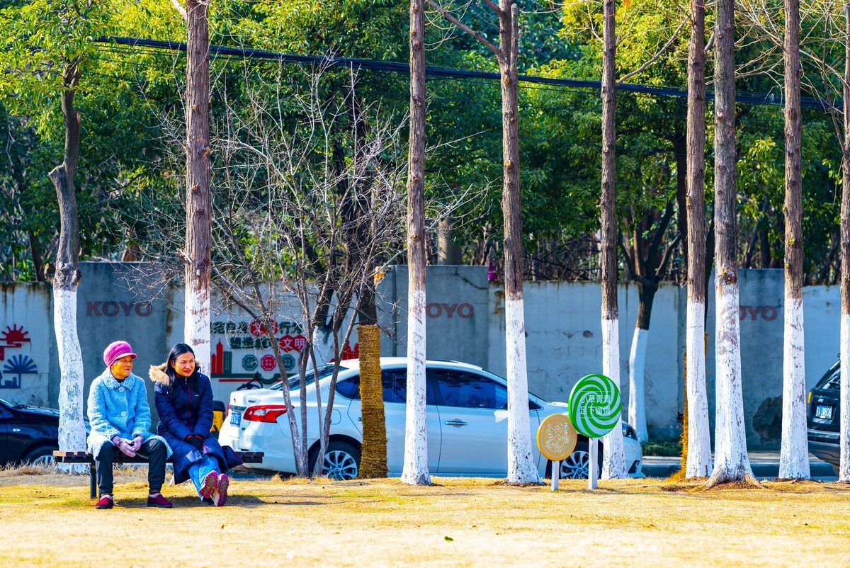 庐州印记（210）天乐公园