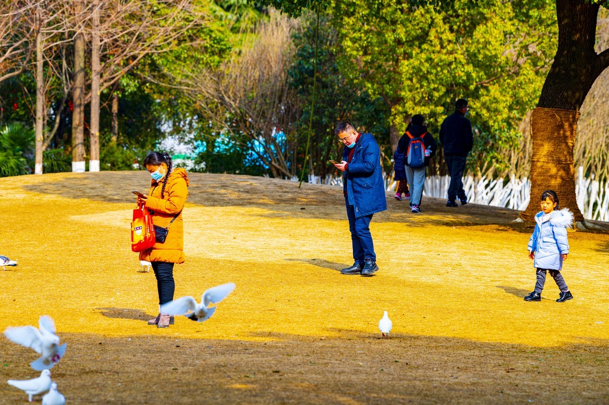 庐州印记（210）天乐公园