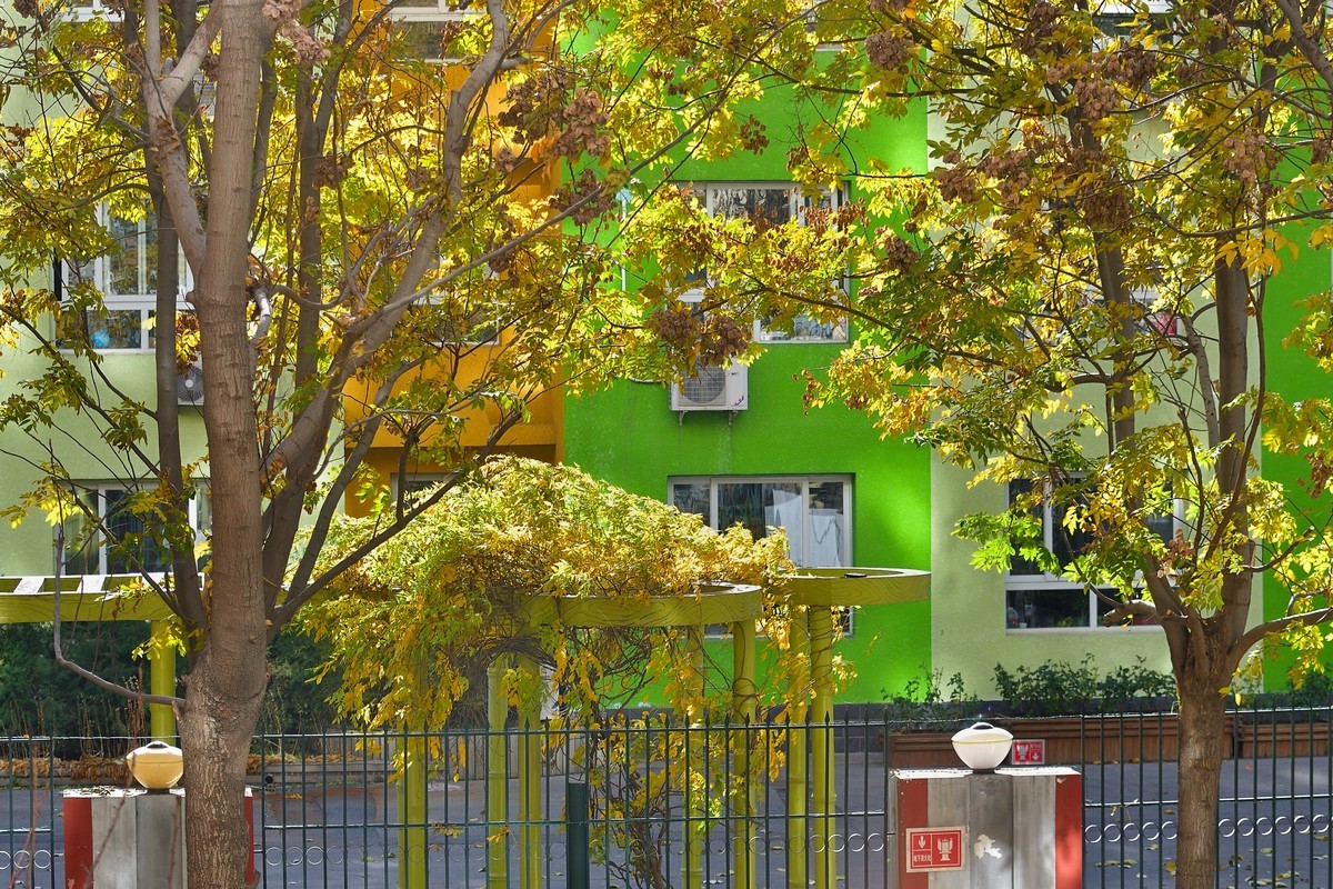 初冬窗外残秋小景