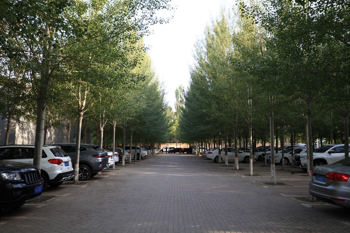 无敌兔依然能战！