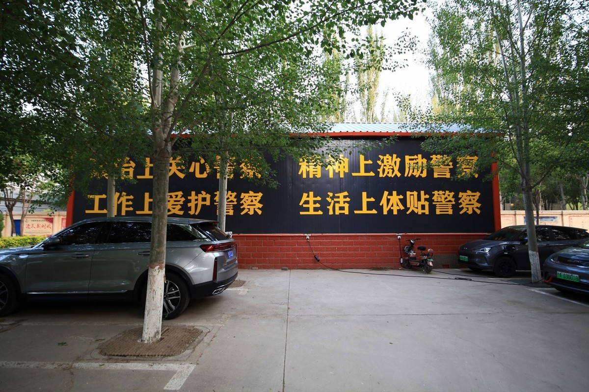 无敌兔依然能战！