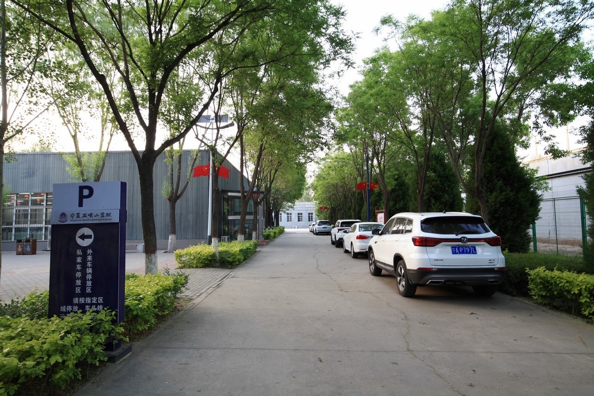 无敌兔依然能战！