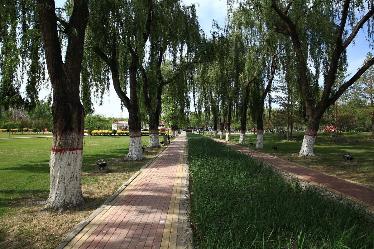 无敌兔依然能战！