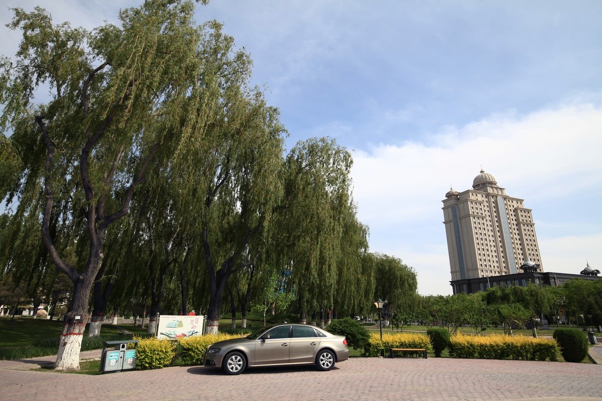 无敌兔依然能战！