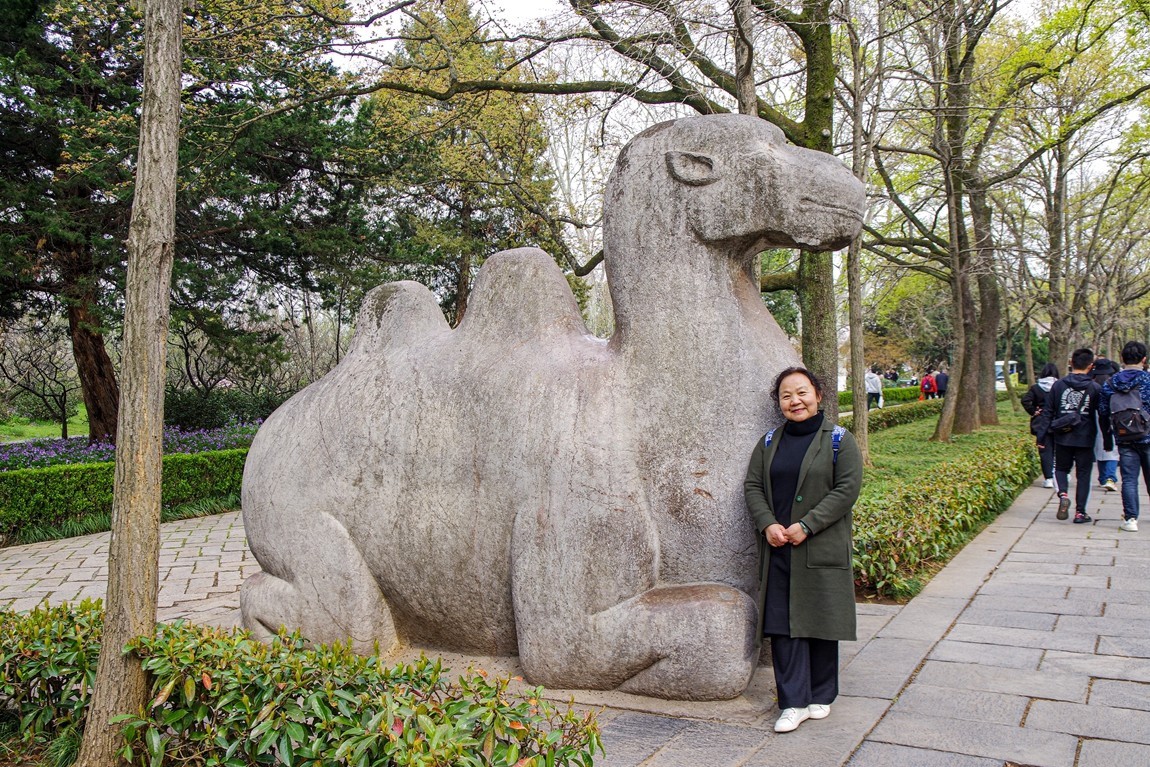 南京--参观明孝陵【6】