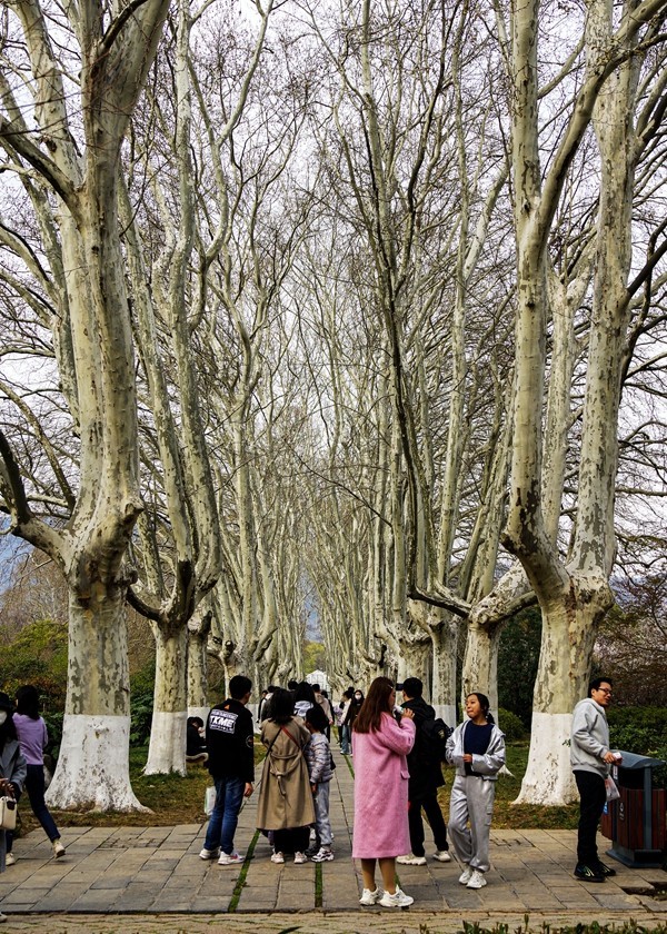 南京--参观明孝陵【6】