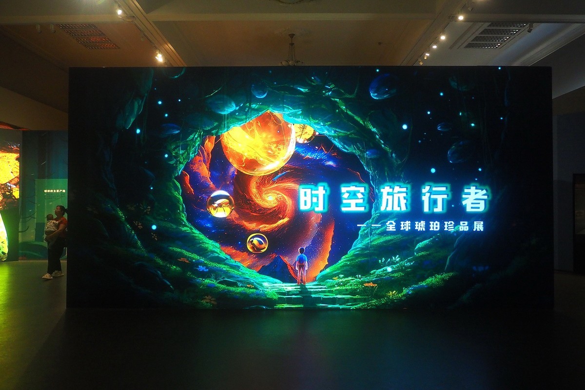 《时空旅行者—全球琥珀珍品展》