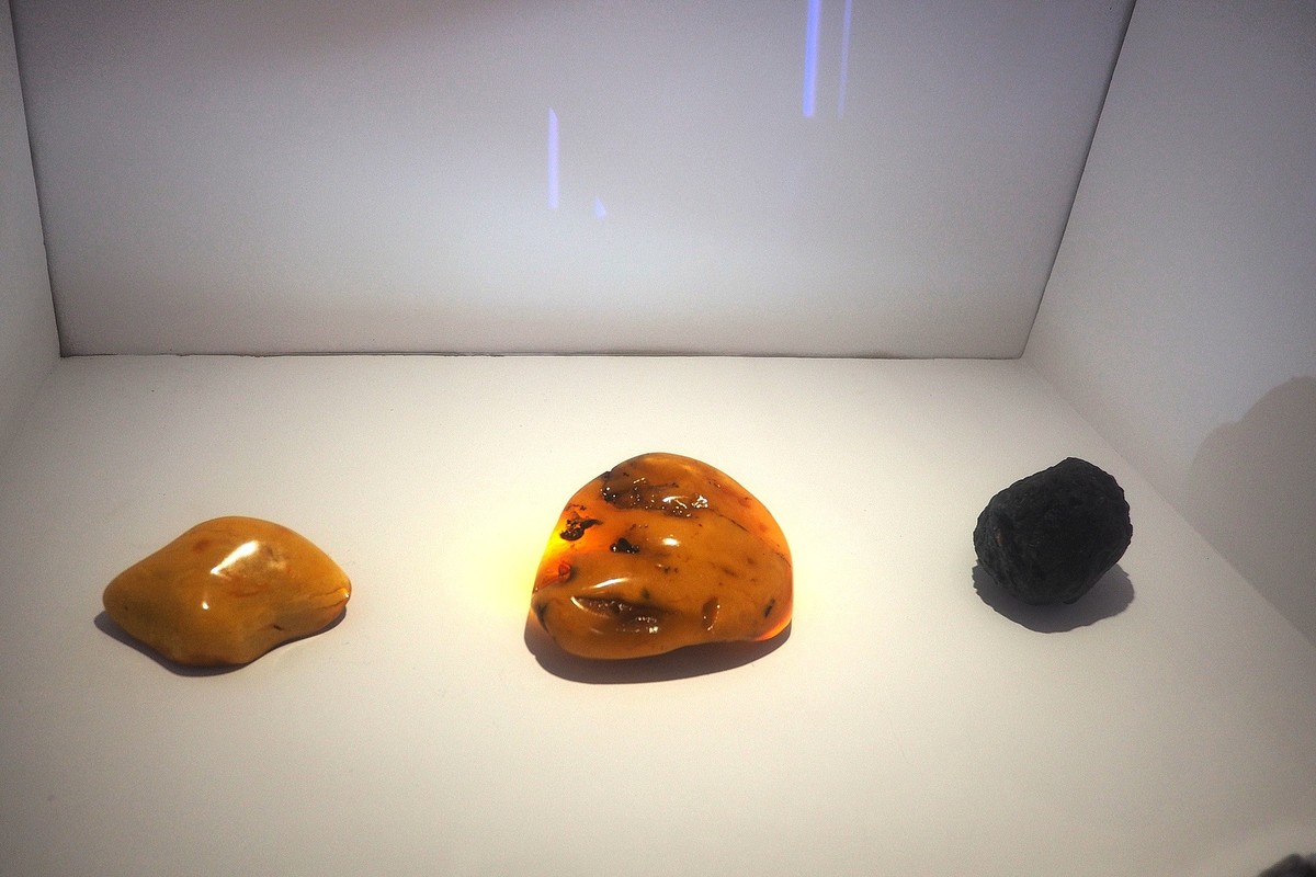 《时空旅行者—全球琥珀珍品展》