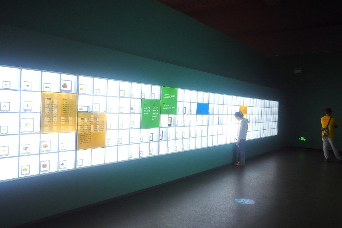 《时空旅行者—全球琥珀珍品展》