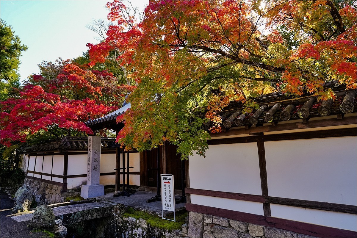 2024年第0896贴-禅林寺风光游拍（1203）