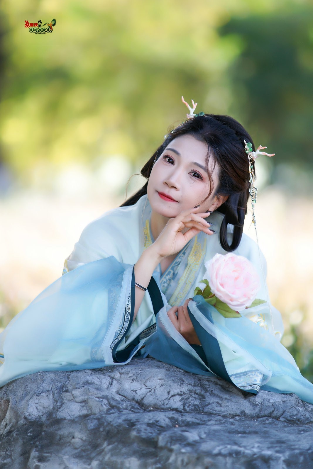 【林中倩影】--- 丸子