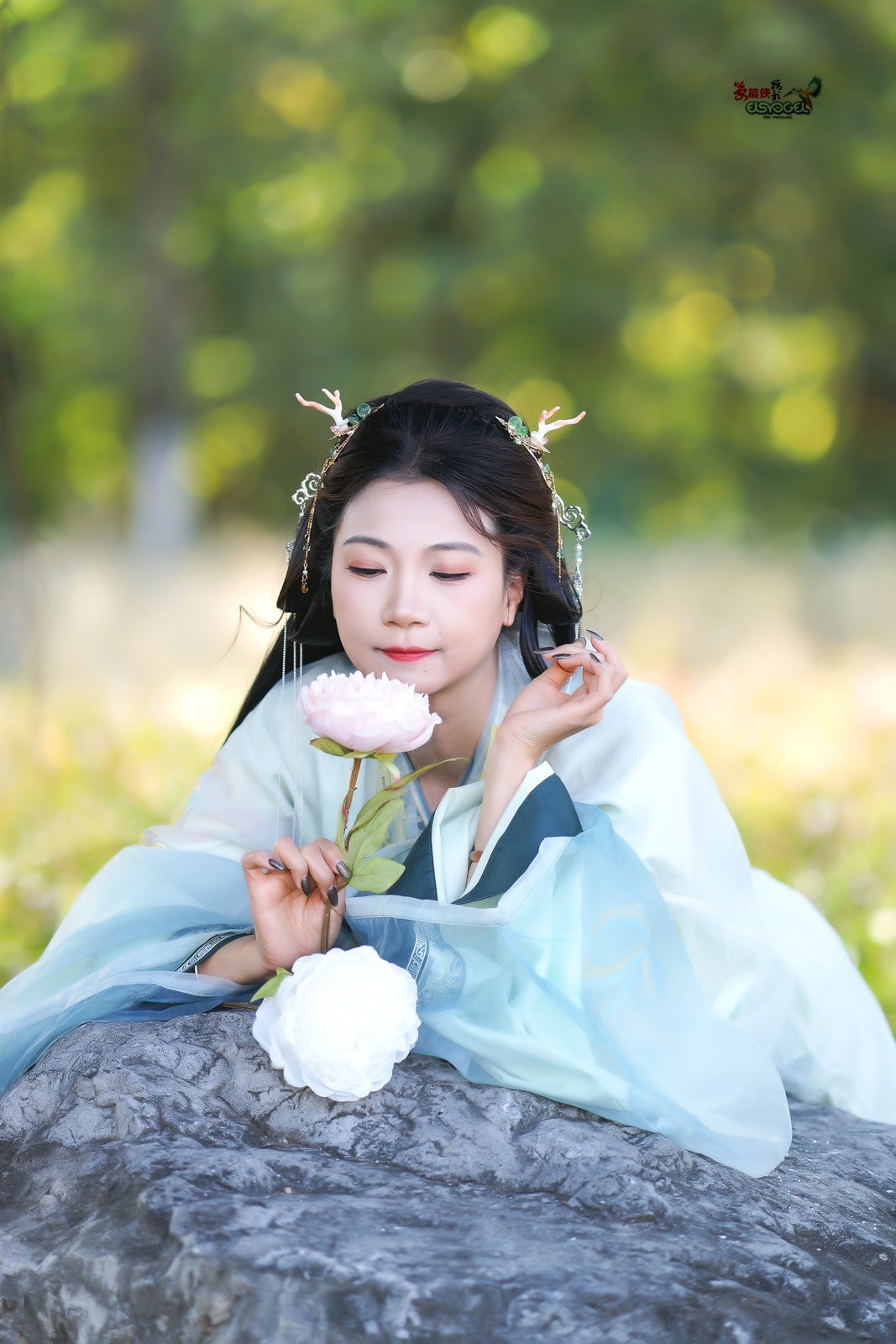 【林中倩影】--- 丸子