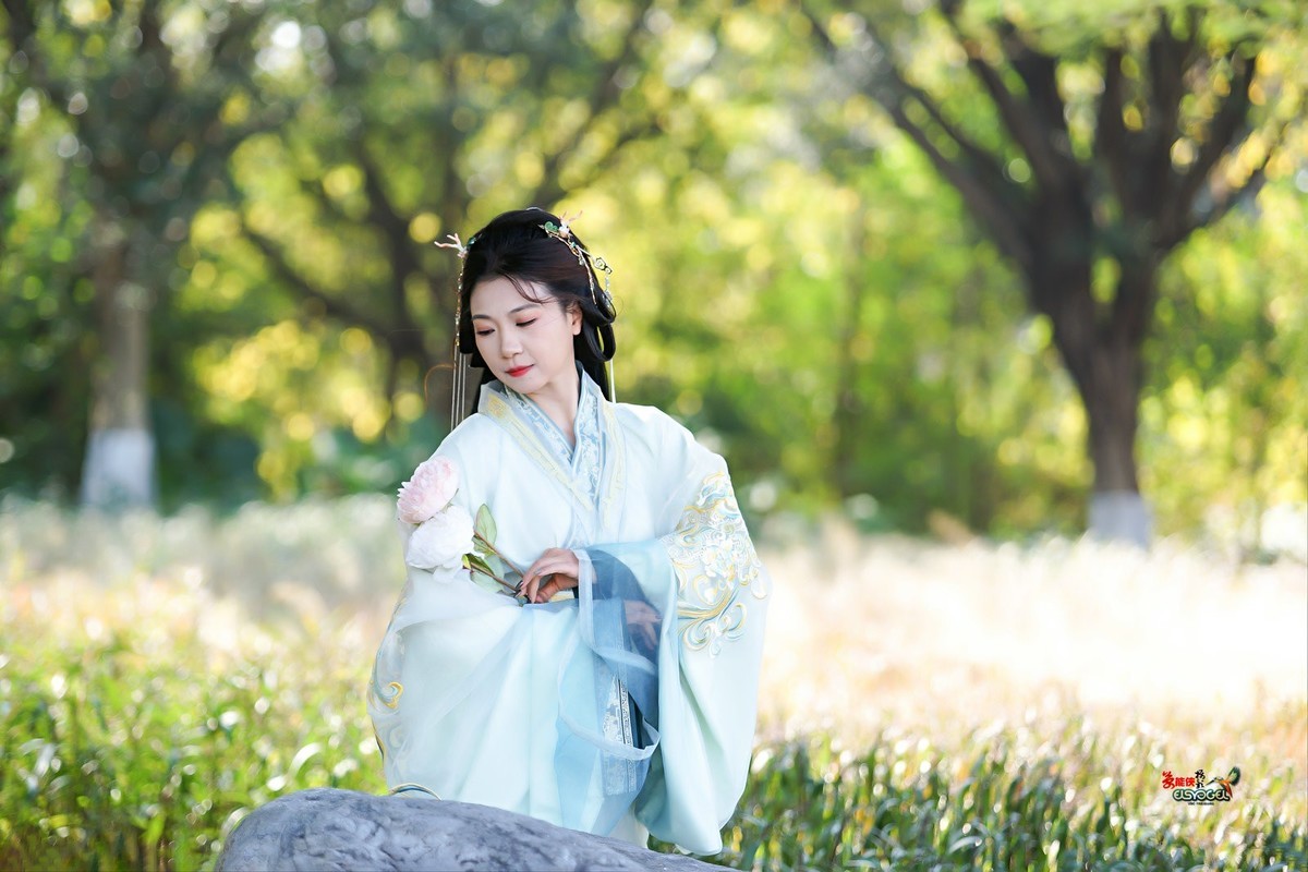 【林中倩影】--- 丸子