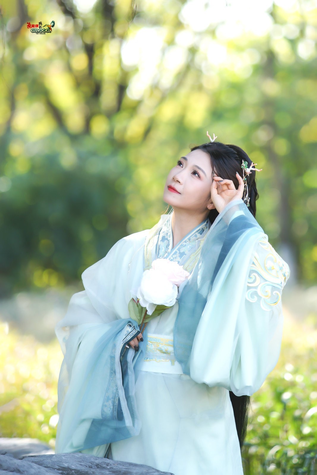 【林中倩影】--- 丸子