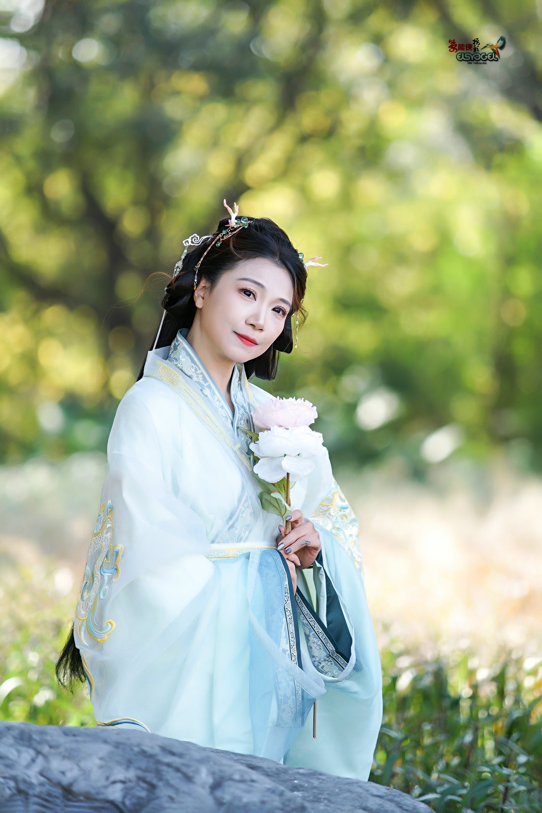 【林中倩影】--- 丸子